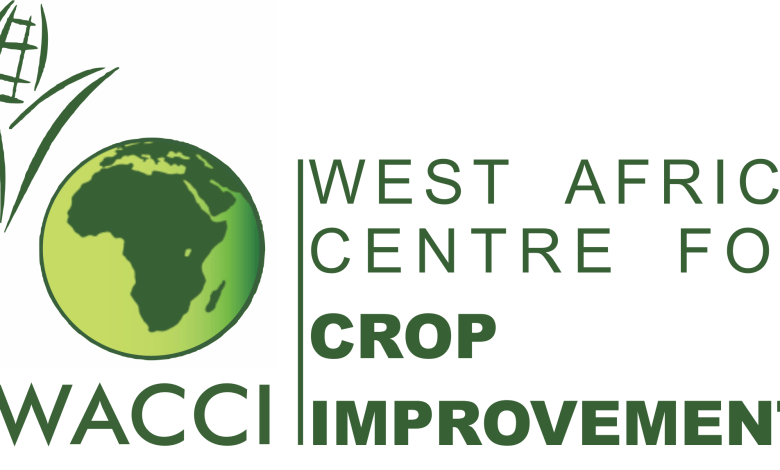 Job Opportunity At West Africa Centre for Crop improvement (WACCI)