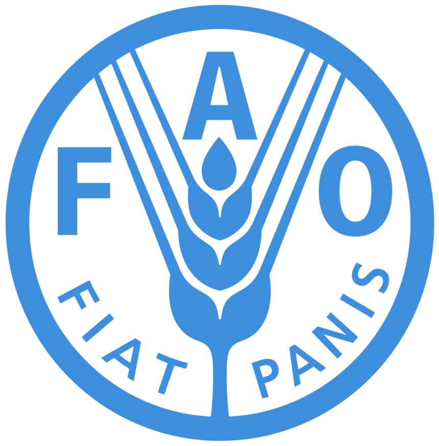 Senior Forestry Officer at Food and Agriculture Organization (FAO)