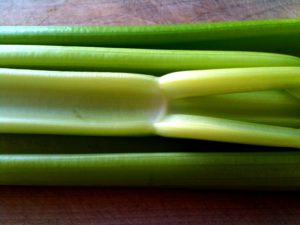 Celery