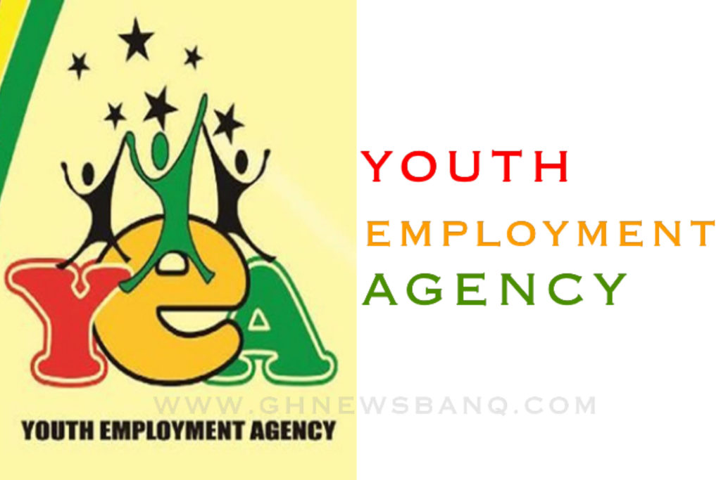 Youth Employment Agency Digital Innovation Programme