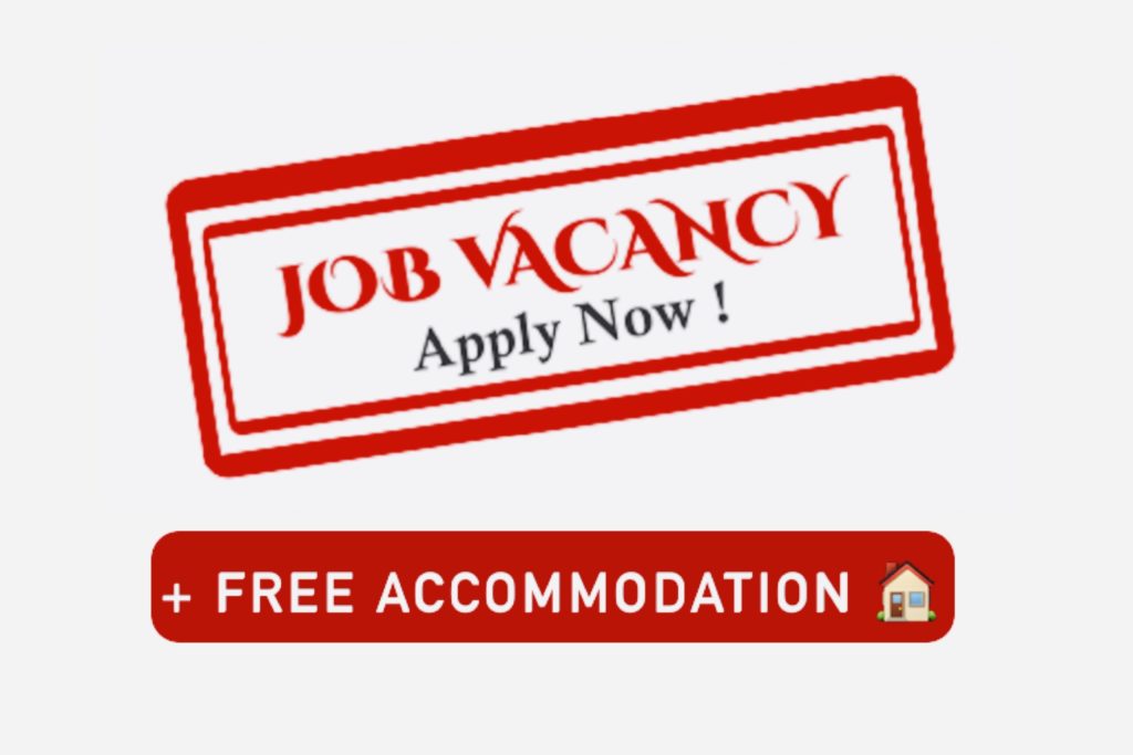 New Job Opening With Free Accommodation