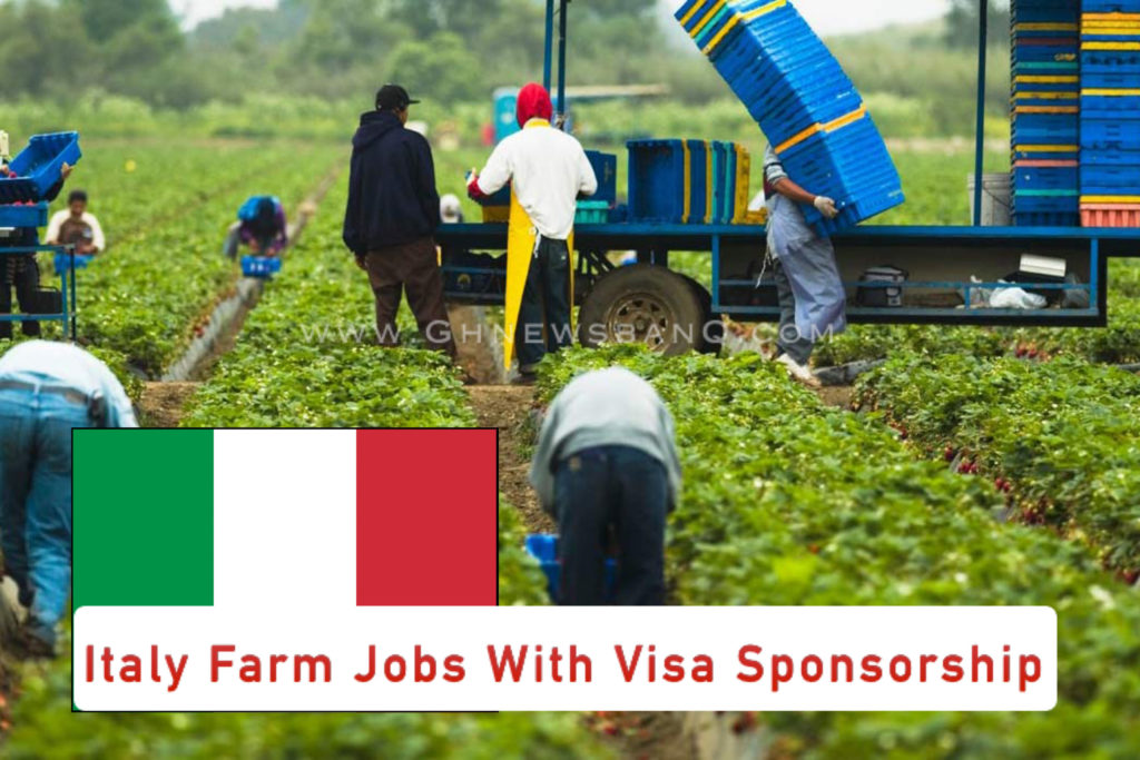 Italy Farm Jobs With Visa Sponsorship 2023