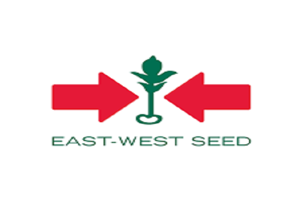 East West seed