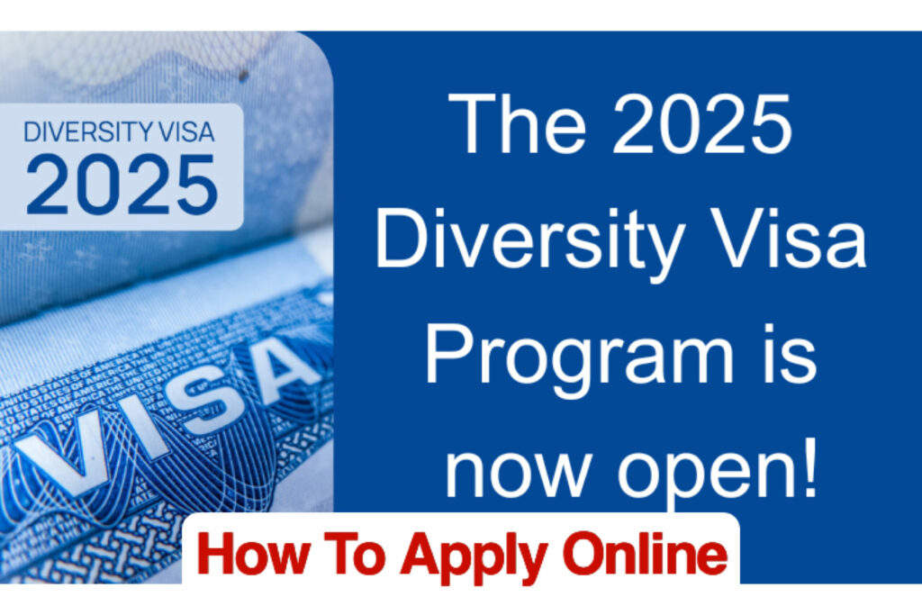 American Visa Lottery 2025: How To Apply For Diversity Visa 2025 Online ...