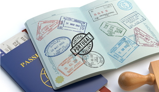 Application Process for Portugal Job Seeker Visa