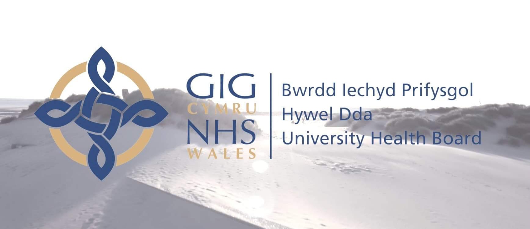 Healthcare Support Worker at Hywel Dda University Health Board