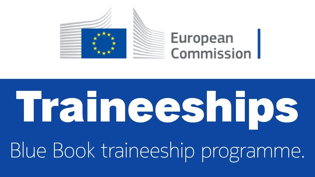 The EU Blue Book traineeship programme