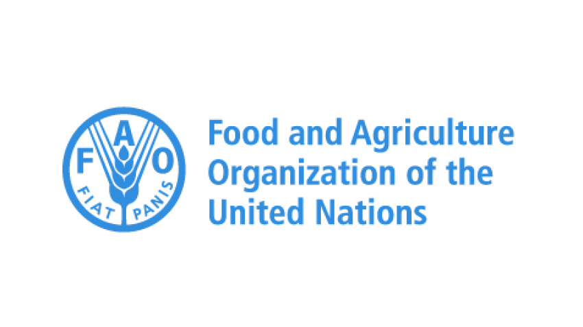 The Food and Agriculture Organization of the United Nations (FAO) contributes to the achievement of the 2030 Agenda through the FAO Strategic Framework by supporting the transformation to MORE efficient, inclusive, resilient and sustainable agrifood systems, for better production, better nutrition, a better environment, and a better life, leaving no one behind. In alignment with this mission, FAO is seeking a Deputy Regional Representative for the Regional Office for Africa (RAF). The position is located in the FAO Regional Office for Africa (RAF) in Accra, Ghana. Reporting Lines The Deputy Regional Representative (DRR) reports to the Assistant Director-General/Regional Representative (ADG/RR) and is a core member of the Regional Leadership Team. See other job vacancies here Organizational Setting The Regional Office for Africa (RAF) is responsible for leading FAO's response to regional priorities for food security, agriculture and rural development through the identification, planning and implementation of FAO's priority activities in the region. It oversees the network of Country Offices and the Subregional Office for Central Africa (SFC), Subregional Office for Eastern Africa (SFE), Subregional Office for West Africa (SFW), and Subregional Office for Southern Africa (SFS). It ensures a multidisciplinary approach to programmes, identifies priority areas of action for the Organization in the region and, in collaboration with Offices and Divisions at headquarters, develops, promotes and oversees FAO's strategic response to regional priorities and the implementation of the Organization’s strategies through programmes and projects in the region. The Regional Office (RAF) supports the formulation and implementation of the Country Programmes and Projects including Country Programming Frameworks (CPFs) and their contribution to the FAO Strategic Framework and the United Nations Sustainable Development Cooperation Framework (UNSDCF) at country level, advising Decentralized Offices on corporate priorities as per the Strategic Framework and on the incorporation of regional priorities into the Organization's programme of work and budget. Recommended: New Career Opening at WSUP New Career Opening at JSI Research & Training Institute Job Vacancy at Marie Stopes International Ghana New Job Vacancies at Golden Star (Wassa) Limited The Regional Office (RAF) leads, formulates, implements, monitors and reports on the Organization´s programmes and budget in the region and draws management attention to problems, deficiencies, and risks. The Regional Office (RAF) leads the preparation for the Regional Conferences and Statutory Bodies/Regional Commissions in the region. The Regional Office (RAF) develops and maintains relations with region-wide institutions including the Regional Economic Integration Organizations (REIOs) and participates in the United Nations Regional Architecture, such as UN Regional Forums on Sustainable Development and UN Regional Collaborative Platforms and related mechanisms. The Regional Office (RAF) delivers an improved, integrated and collaborative business model to enhance efficiency,effectiveness, consistency, innovation, agility and responsiveness in logistical, operational financial and other support services at all levels to accelerate the achievement of the Organization´s programme in the region and compliance with the Internal Control Framework (ICF) See Also: Minimum Requirements Advanced university degree in an area relevant to the work of the Organization (e.g. social sciences, public policy or administration, agriculture, forestry, fisheries, etc.). Minimum twelve (12) years of relevant managerial and professional experience in fields related to the mandate of FAO including experience at international level. Working knowledge of English (proficient – level C) and a limited knowledge (intermediate - level B) of another FAO official languages (Arabic, Chinese, French, Russian or Spanish). Working knowledge (proficient – level C) of a second official language relevant to the region of assignment is an asset. How To Apply: Deputy Regional Representative, Regional Office for Africa, RAF at FAO To apply, visit the recruitment website at Jobs at FAO and complete your online profile. We strongly recommend that your profile is accurate, complete and includes your employment records, academic qualifications, and language skills Candidates are requested to attach a letter of motivation to the online profile Once your profile is completed, please apply, and submit your application